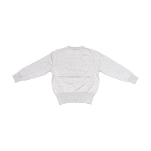 Back of kids light grey tiger and lightning bolt sweater. 